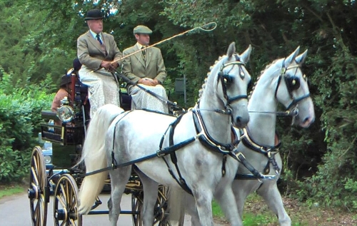 A pair of greys starting the ride